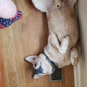 Meet your Posher, Matthew